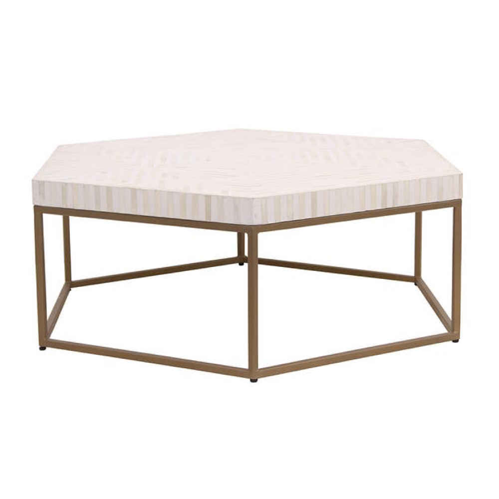 Bone Inlay Coffee Table